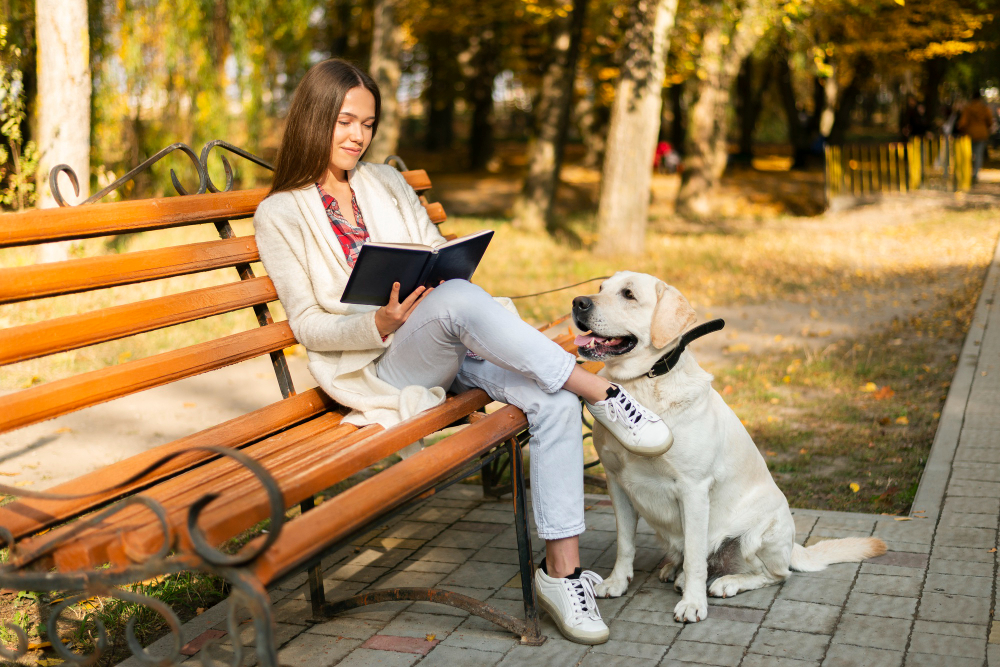 Woman sitting and reading on bench with a service dog next to her.